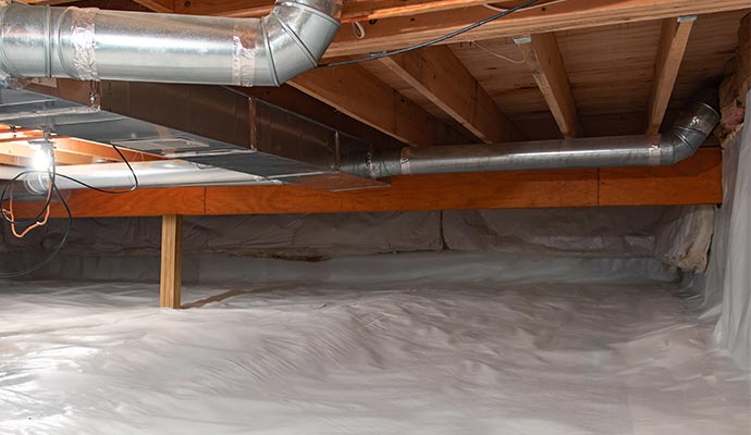 Assessing the Cost of Crawl Space Repair