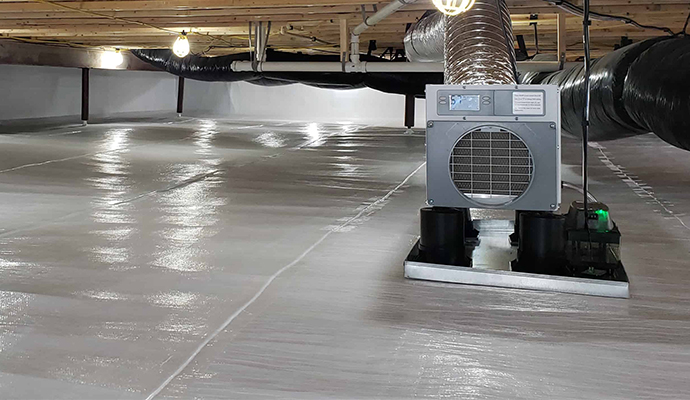 Basement dehumidification service