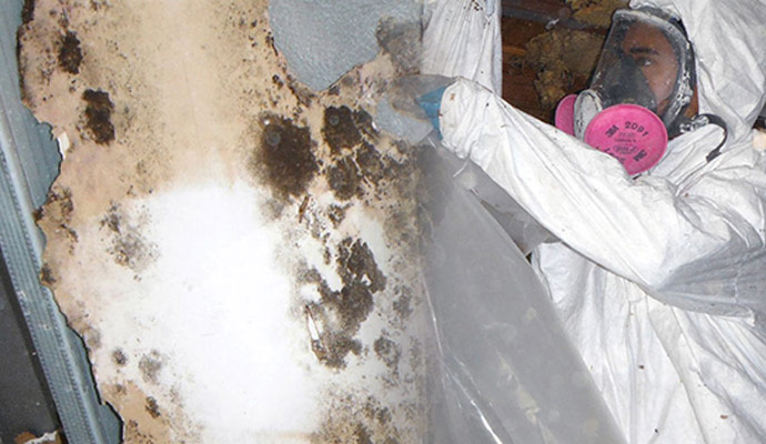 Prevent & Get Rid of Basement Mold