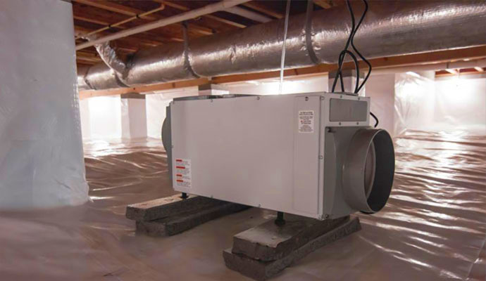 Professional Dehumidification & Drying Services