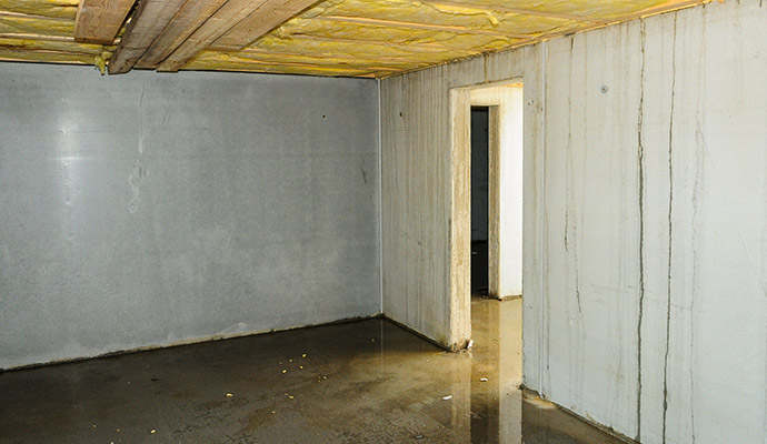 Basement Waterproofing & Foundation Repair Experts