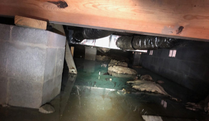 Crawl Space FAQ