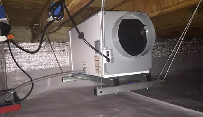 Professional Dehumidification & Drying Services