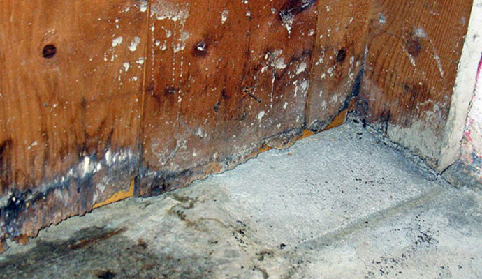 Moisture Control Services by My Basement Repair Pros