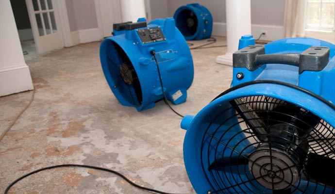 Professional Dehumidification & Drying Services