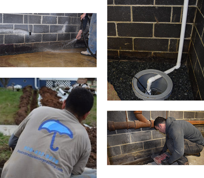 Why Choose Blue Umbrella